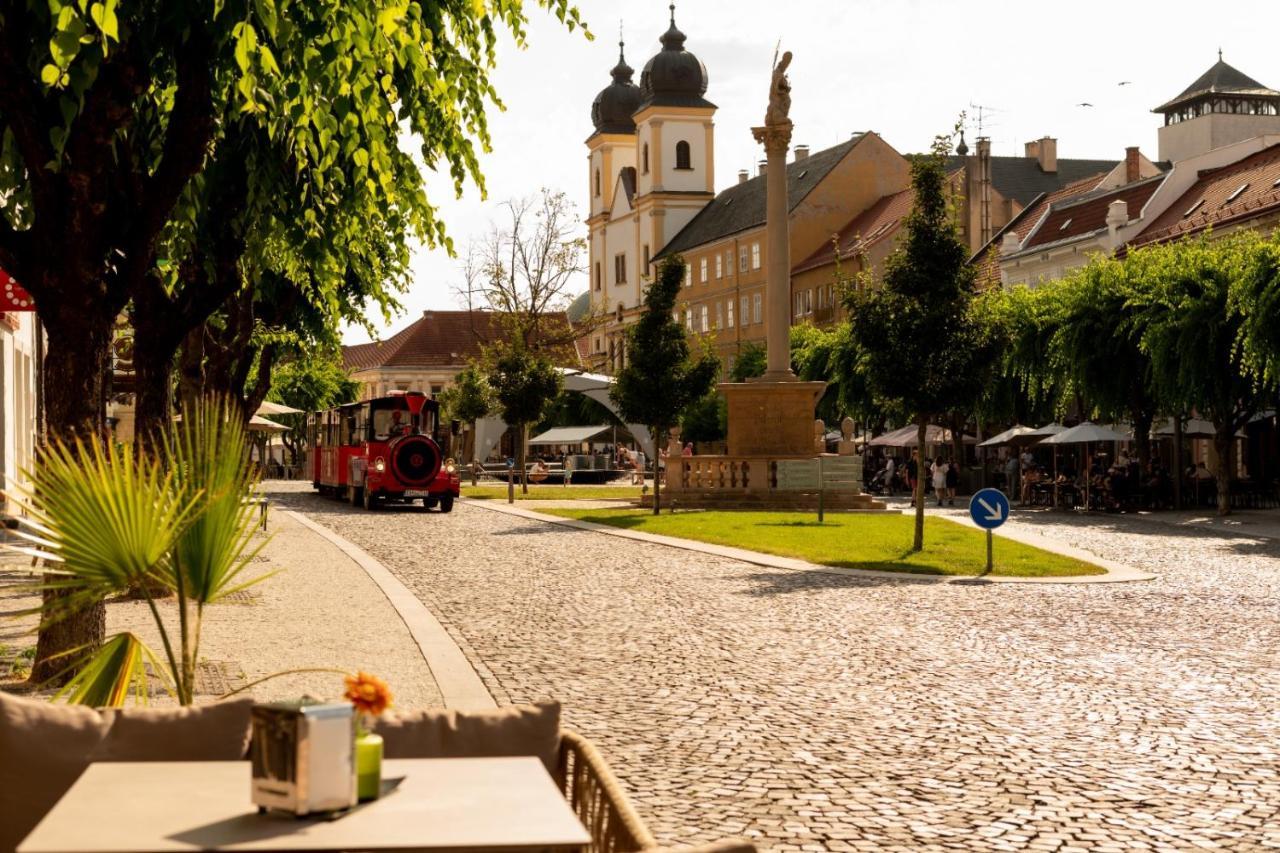 Penzion Deloris Trencin Bagian luar foto